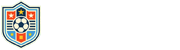 蜘蛛直播